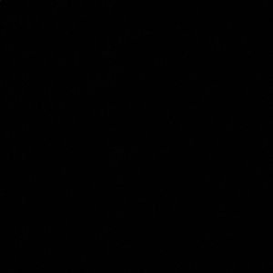 Meet your Posher, Caden